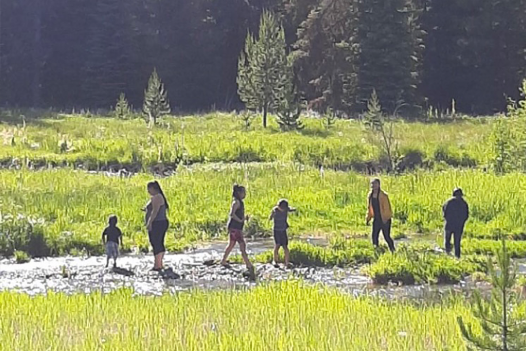 photo of a group of people in nature 